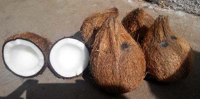 Fully husked coconut