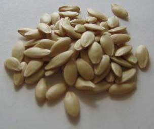 Cucumber Seeds