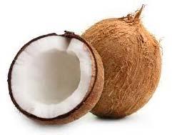 Coconut