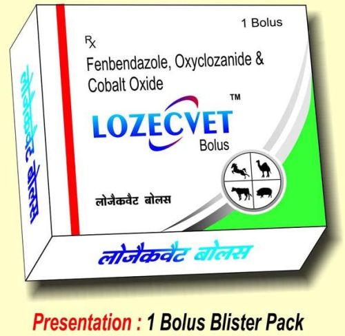 Lozecvet Bolus