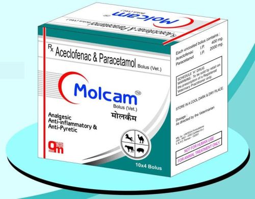 Molcam Bolus