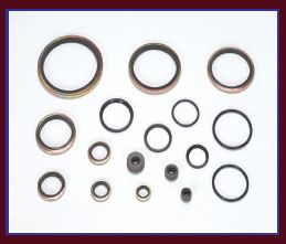 Hydraulic Seals