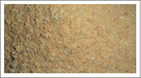 Soybean meal, Moisture : 8-10%