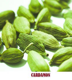 Green Cardamom