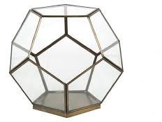 Geometric Terrarium