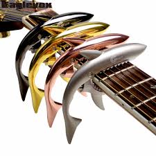 Guitar Accessories