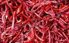 Dried Red Chilli
