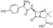 Amoxicillin