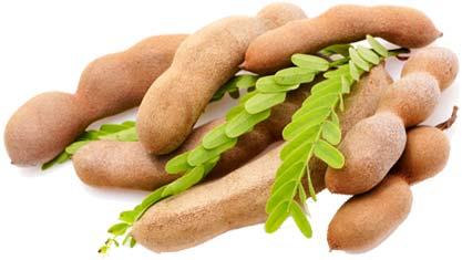 Fresh Tamarind