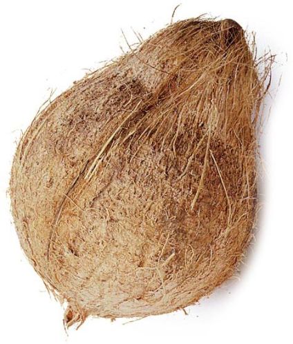 Fresh coconut, Number Of Flower : Natural