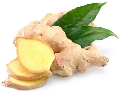 Fresh ginger, High In Gingerol