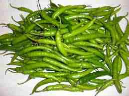 Fresh green chilli, Usage : Spicy