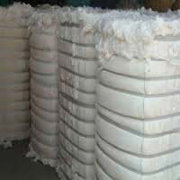 Shankar 6 Cotton Bales