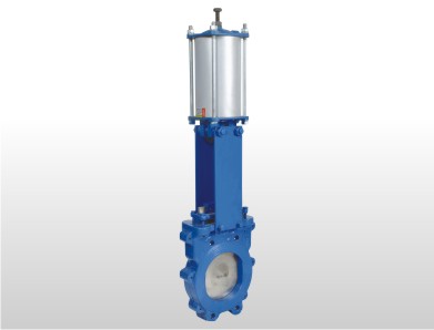 Pneumatic Gate Valve