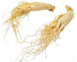 Ginseng Extract