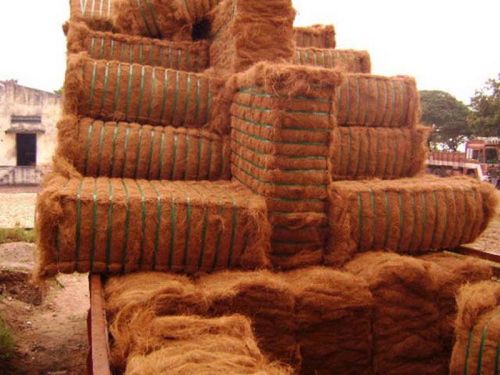 Coir Fibre