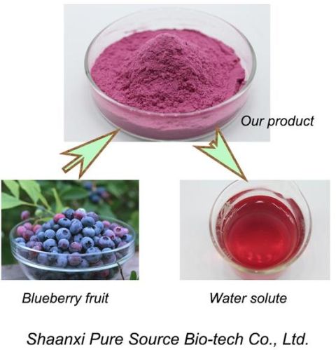 Blueberry Fruit Powder