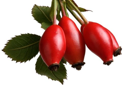 Rose HIPS Extract Powder