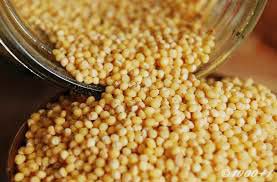 Organic Millet Seeds, For Cooking, Variety : Natural