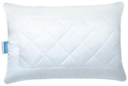 Iris 27 X 17 Soft Pillow