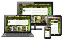 Responsive Website Design Services