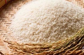 Non Basmati Rice