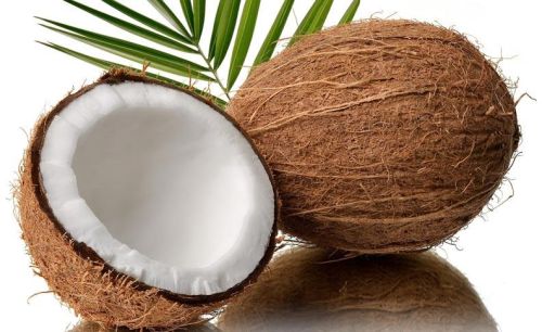 Fresh coconut, Packaging Type : Loose, Gunny Bag