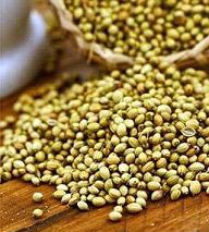 Coriander seeds, Usage/Application : Culinary Spice