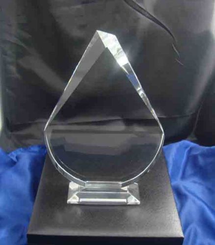K9 Crystal Trophy Award