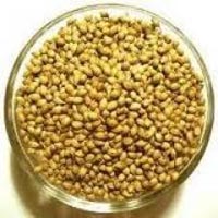 Coriander seeds, Packaging Size : 1kg/ 5kg/10kg/20kg