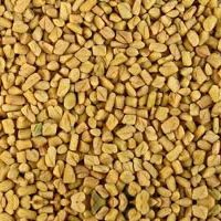 Fenugreek Seeds