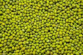 Organic Green Mung Beans, Packaging Type : Jute Bag, Plastic Container