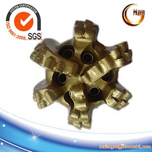 Pdc Bit