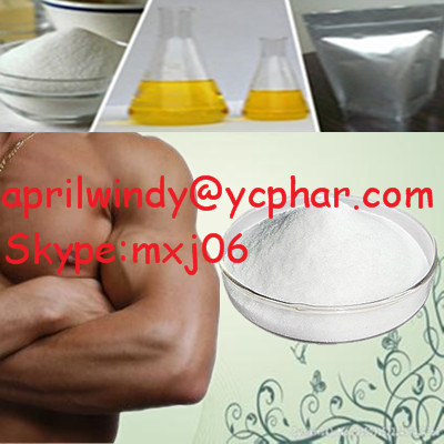 Testosterone Propionate, Packaging Size : 1*10 Amopuels,1ml