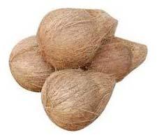 Semi Husked Coconuts