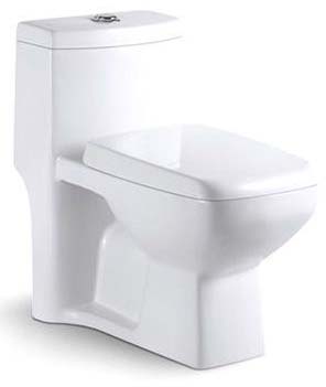 One Piece Toilet Model Deluxe