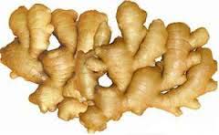 Fresh Indian Ginger