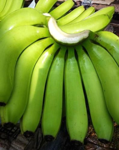 Fresh Banana