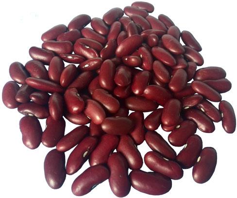Dark Red Kidney Bean