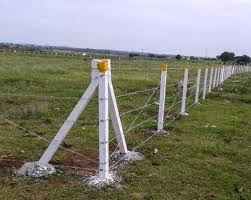 Concrete Fencing Poles, Length : 8 -10 Feet