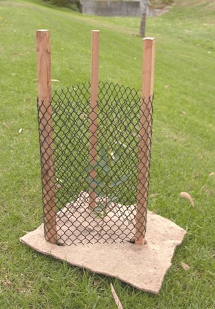 Steel Tree Guard, Size : Customized