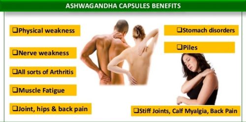 Ashwagandha Extract Capsules