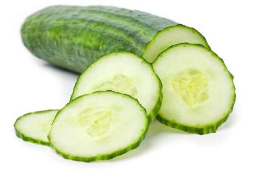 Fresh Cucumber,fresh Cucumber, Packaging Type : Carton Box