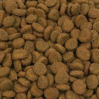 Dog Foods