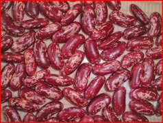 Kidney Beans