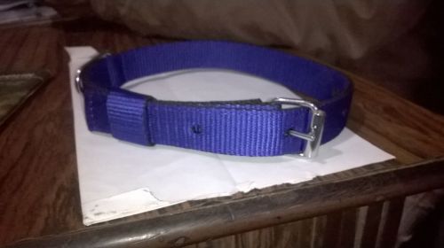 Dog Collars