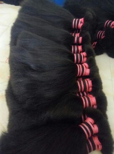 Natural Indian Human Hair, Hair Grade : Virgin, Remy