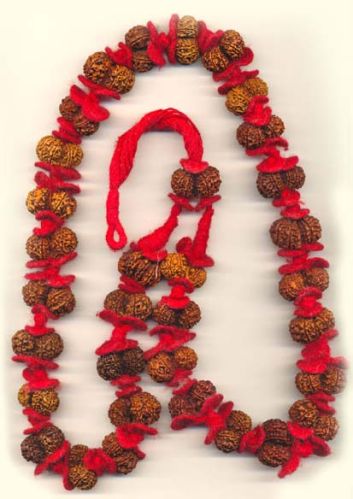 KVPRK Natural Gauri Sankar Rudraksha Kentha, Style : INDIAN