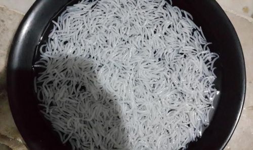 White Steam Basmati Rice