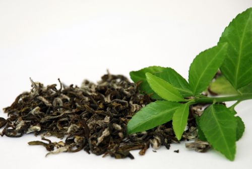 Green Tea Extract